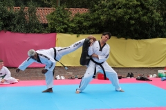 IMG_0687_1024x682