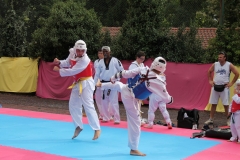 IMG_0744_1024x682