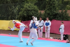 IMG_0745_1024x682