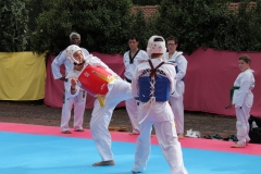 IMG_0746_1024x682