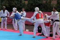 IMG_0747_1024x682
