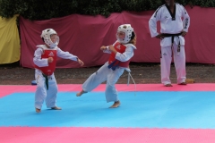 IMG_0749_1024x682
