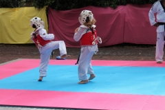 IMG_0750_1024x682