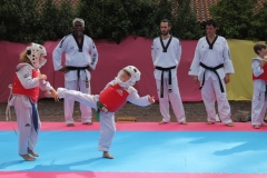 IMG_0751_1024x682