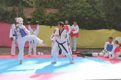 IMG_0758_1024x682