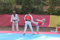 IMG_0763_1024x682