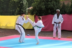 IMG_0766_1024x682